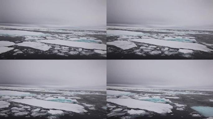 北极海冰