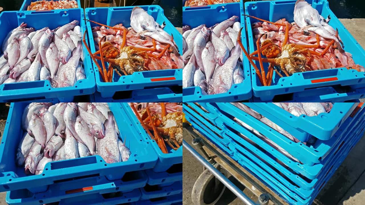 蓝色塑料容器，捕获海鱼，虾，牡蛎，鱿鱼，海味。批发商和餐馆的鱼拍卖。布兰斯，西班牙，科斯塔布拉瓦。在