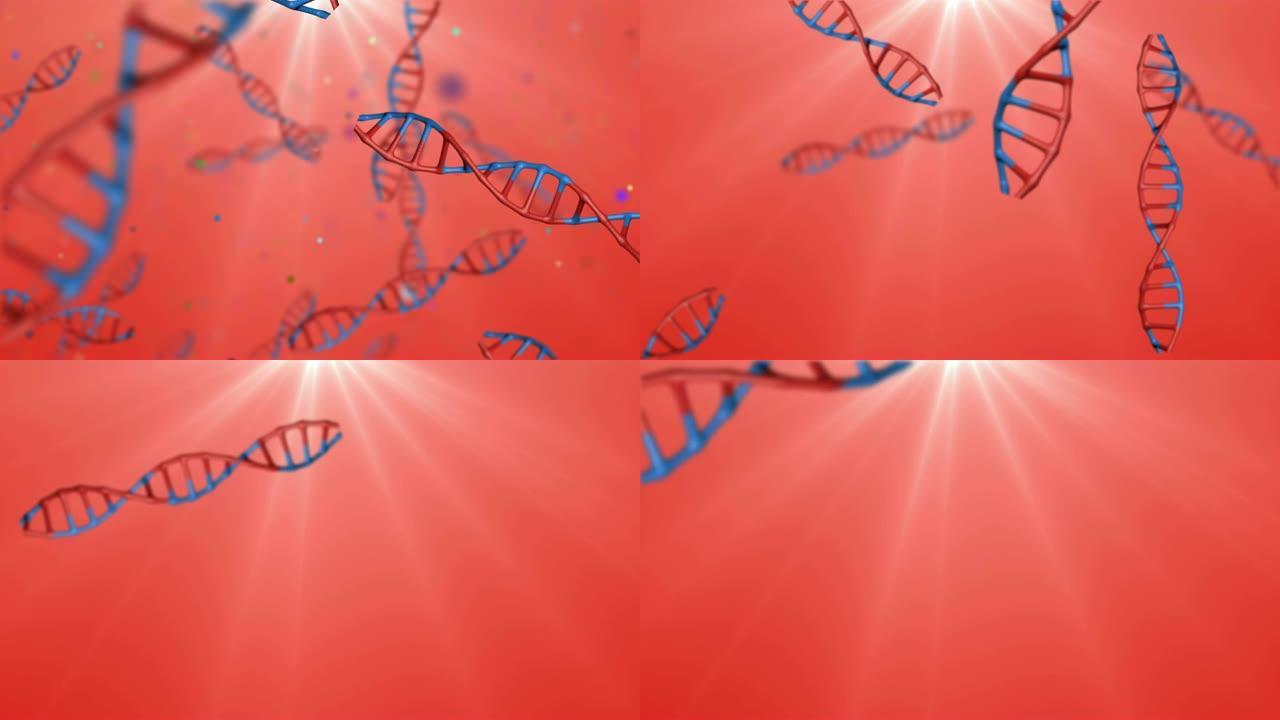 DNA序列: 两种DNA结合