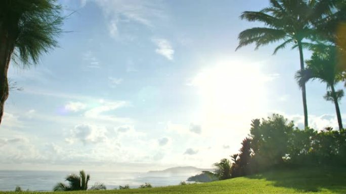 海滩天堂假期背景考艾岛夏威夷鸡时间流逝阳光绿色热带