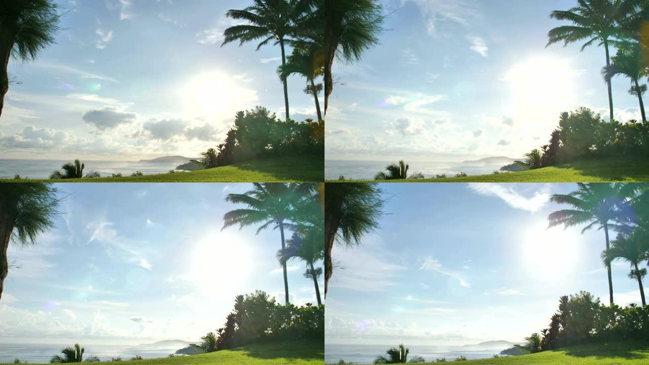 海滩天堂假期背景考艾岛夏威夷鸡时间流逝阳光绿色热带