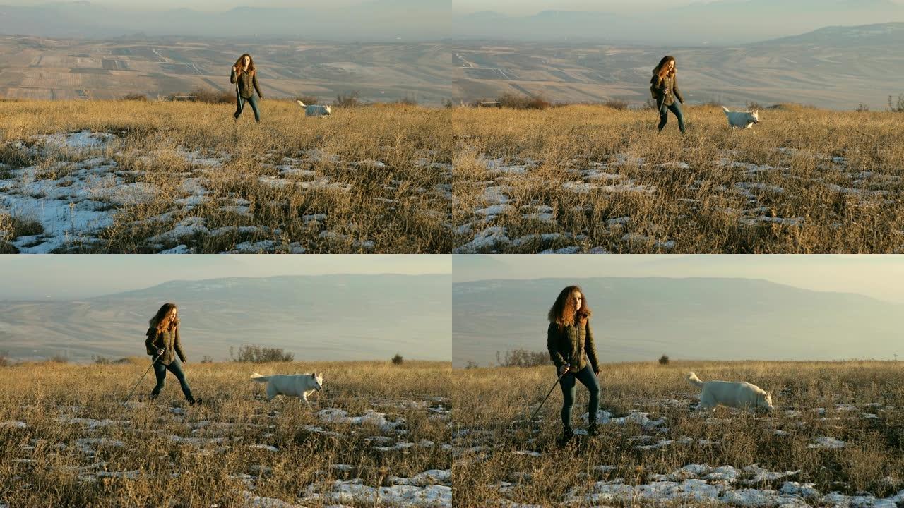年轻的卷发女性带着她的白色哈士奇狗在山峰上徒步旅行。