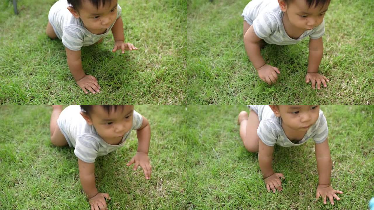 男婴在草地上玩耍