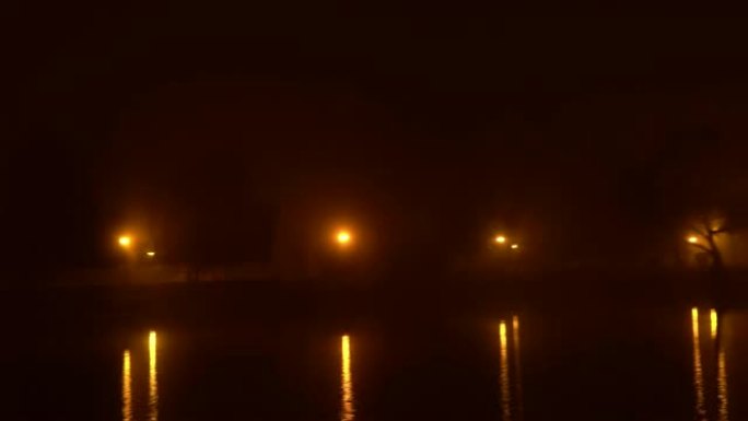 夜中的神秘雾公园