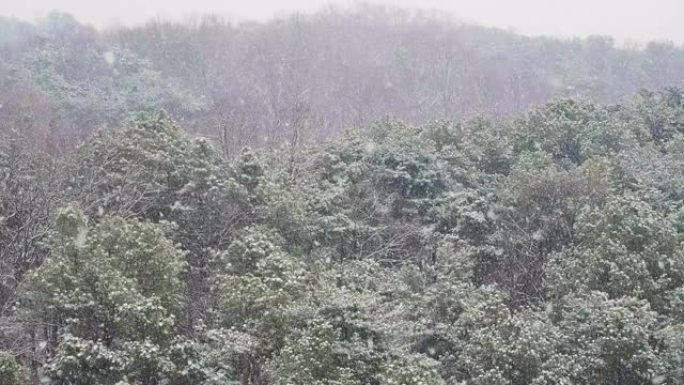 韩国清州市白雪皑皑的冬山