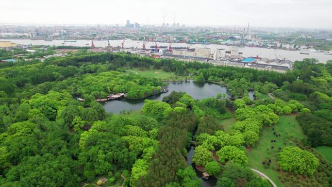 上海市杨浦区共青森林公园