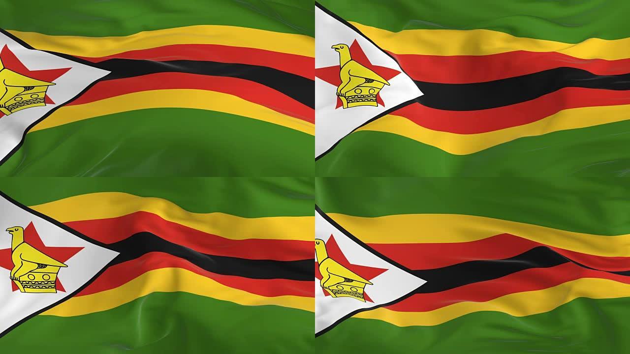 挥舞着环形旗帜作为背景津巴布韦