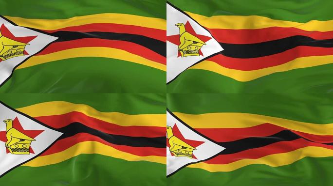 挥舞着环形旗帜作为背景津巴布韦