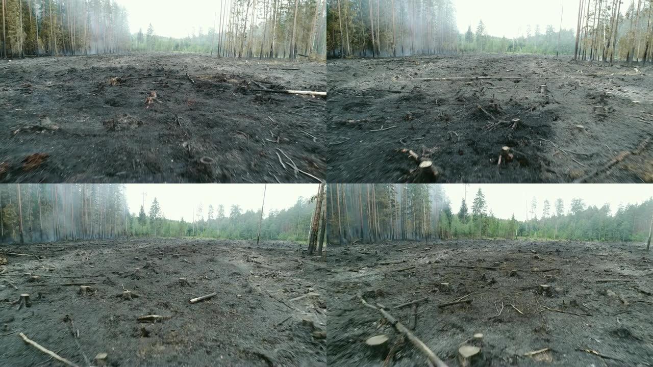 森林着火，燃烧树木，灌木丛，泥炭沼泽中燃烧干草。