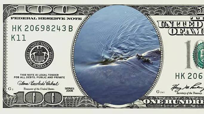 水流以100美元的钞票记录