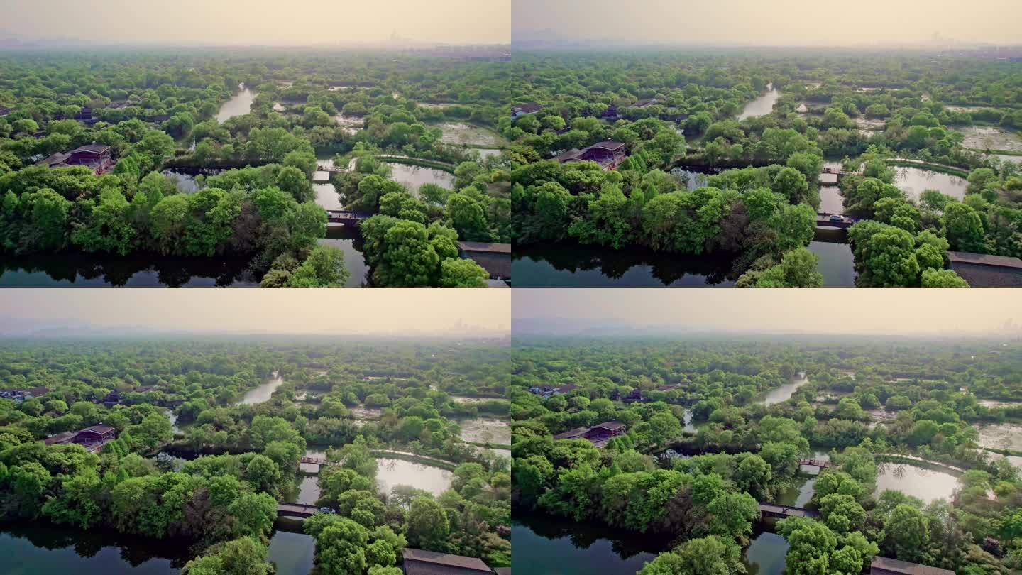 杭州 西溪湿地