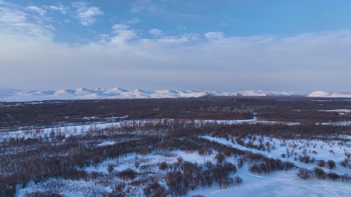 航拍4K清晨的湿地雪原树林