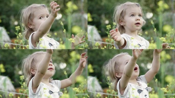 夏天。一片黄色的花田。可爱的小女孩找妈妈