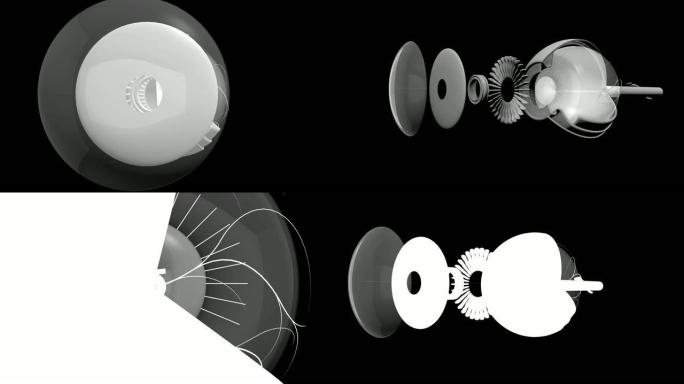 只有眼睛结构缩小旋转白色纹理