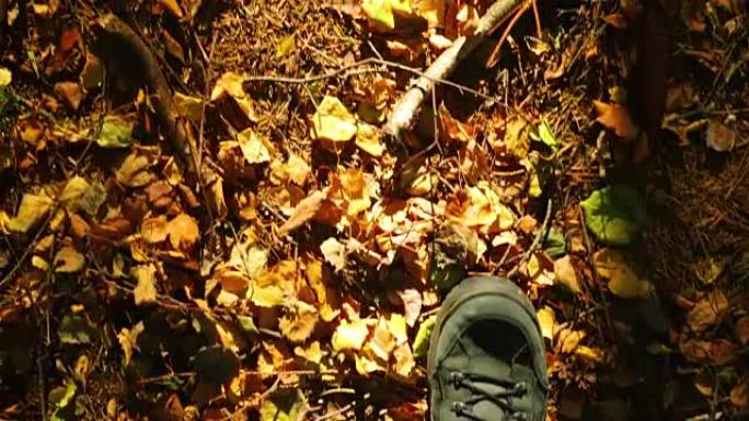 在秋天的日子里在树林里散步是从腰部的高度以及在折叠的叶子附近的大地和鞋子的景色中捕获的。