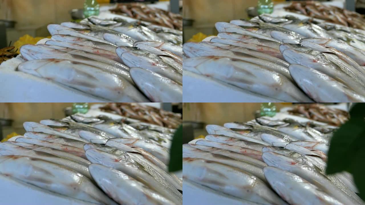 在街头市场上展示新鲜的海鳟鱼在冰上