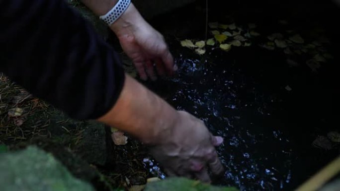 森林中间的天然泉水在旅途中提供了清新的精神，捕获的双手以慢动作浸入井中