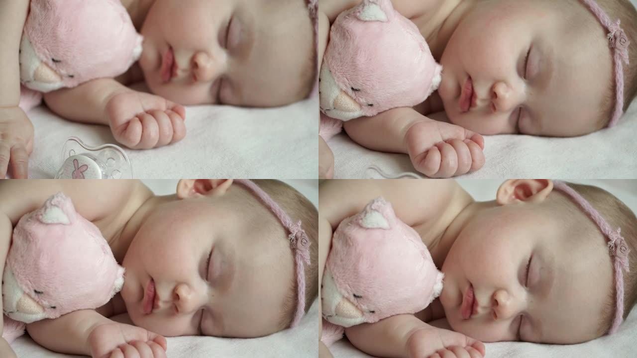 新生小女孩和一只柔软的粉红色猫甜蜜地睡觉