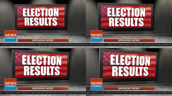 新闻广播标题系列-选举结果图表