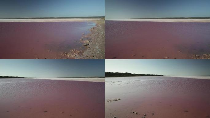 西澳大利亚粉红湖