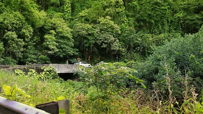 开车去哈纳 (夏威夷毛伊岛)