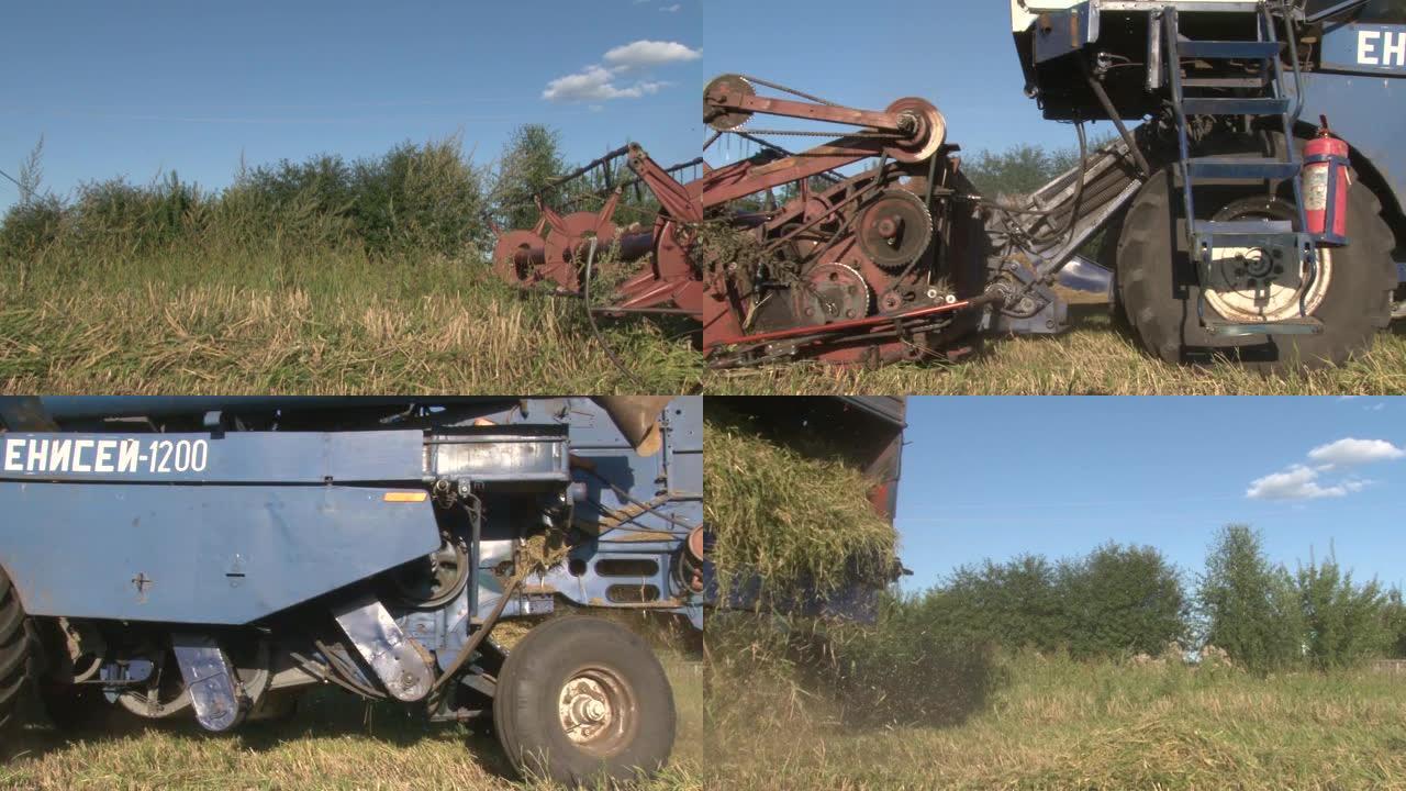 联合收割机，农业机器在田间收割草。农业