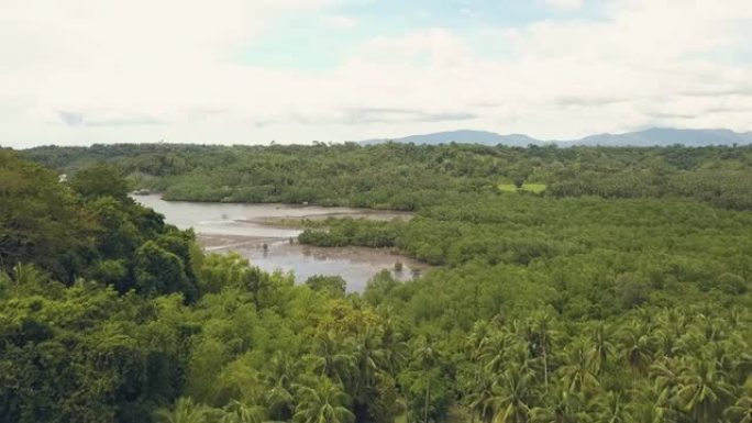 空中拍摄热带棕榈森林和天际线上的高山景观湖泊。无人机观察热带雨林河流中的船只。