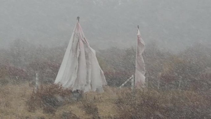 中国甘肃甘南冬季降雪时，佛教经幡在风中摇曳。在严酷的冬季暴风雪中疯狂地挥舞旗帜。