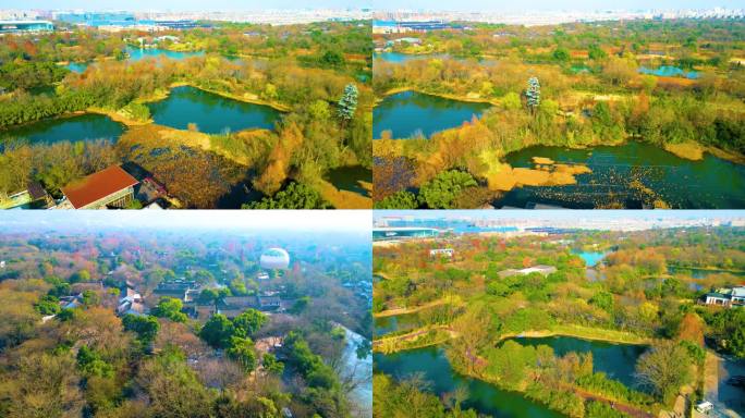 杭州西湖区西溪湿地美景风景视频素材90