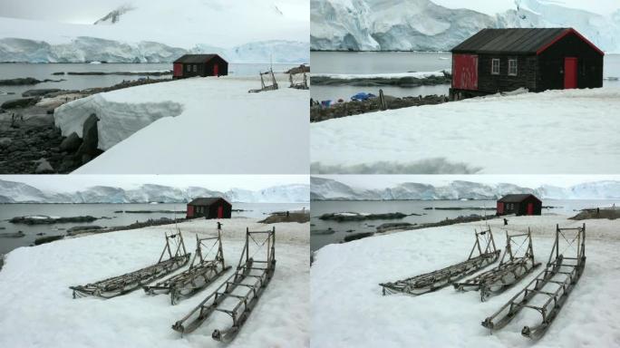 落雪南极洲山区冰川洛克罗伊港站筑巢gentoo企鹅殖民地狗拉雪橇
