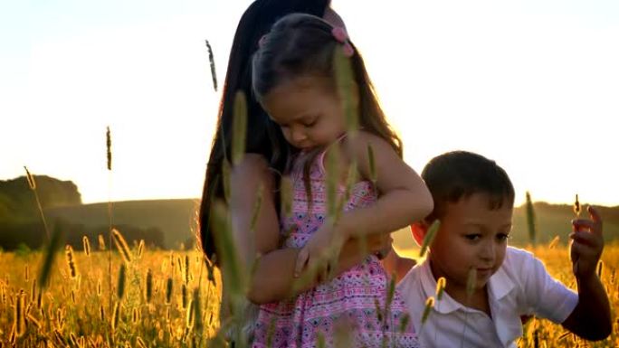 带孩子的亚洲母亲夏天在田间散步，坐在小麦中，拥抱女儿，家庭观念