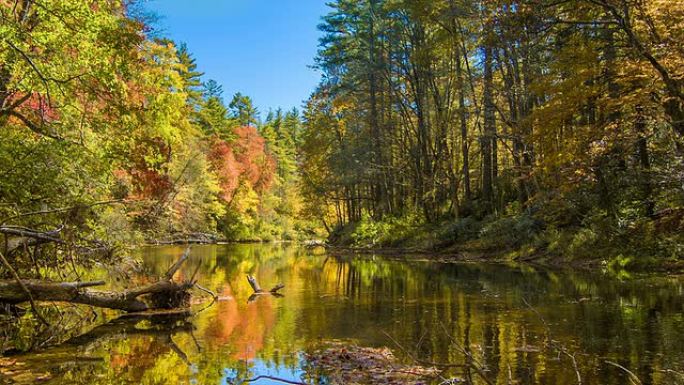 北卡罗来纳州瀑布林维尔河上的秋天颜色