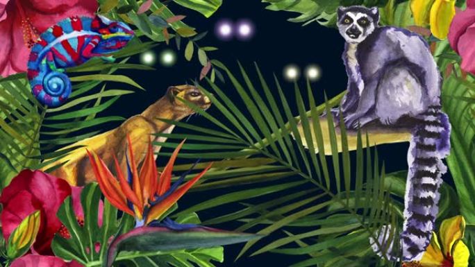 丛林马达加斯加。狐猴和变色龙。雨林里的花。闪烁的眼睛。棕榈叶在移动。