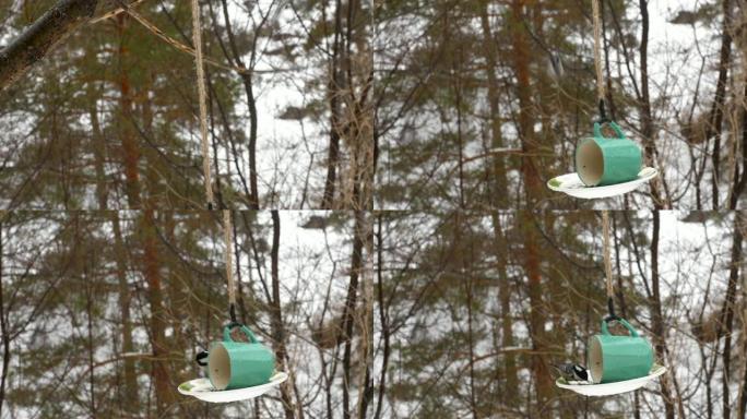 公园里的喂鸟器