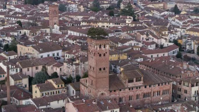 Guinigi Tower-意大利卢卡