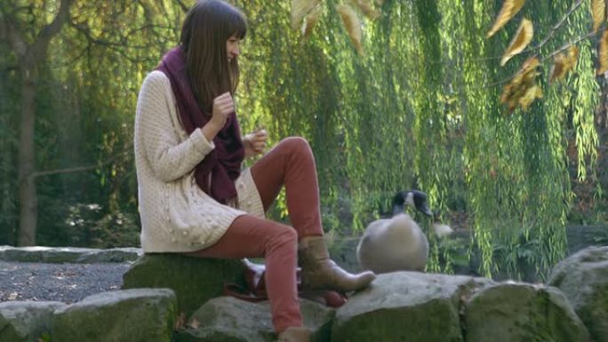 一名年轻女子坐在公园的一块岩石上喂鹅面包