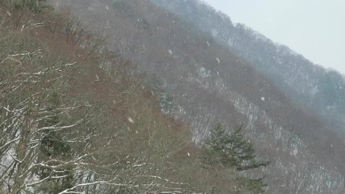 日本冬季景观中的雪花