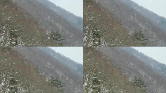 日本冬季景观中的雪花