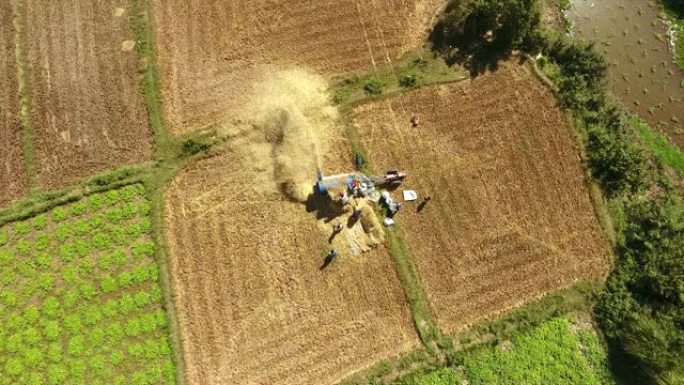 农民在田间用机器脱粒水稻的俯视