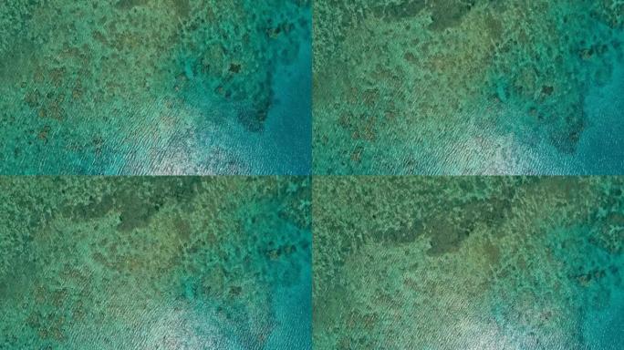 一个巨大的珊瑚礁的令人惊叹的空中无人机图像，在平静的天气平坦的海水和令人难以置信的五颜六色的海洋床周