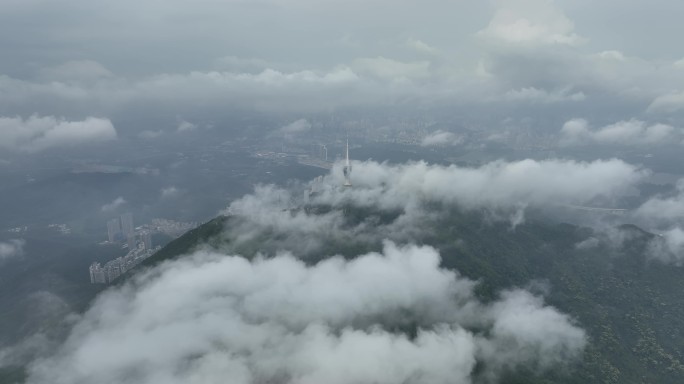 深圳梧桐山航拍云海