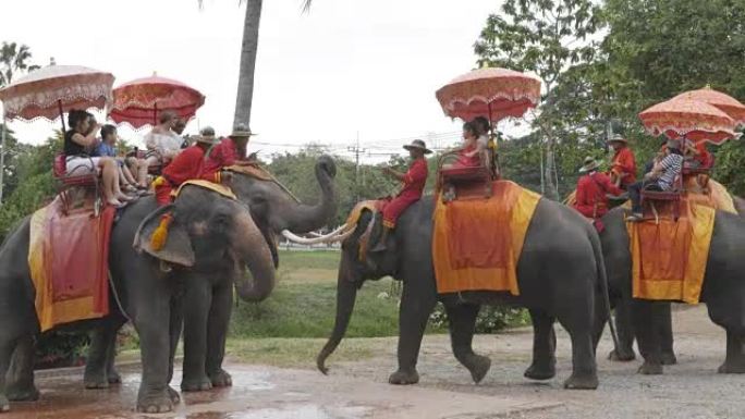 旅行者骑着大象游览古城