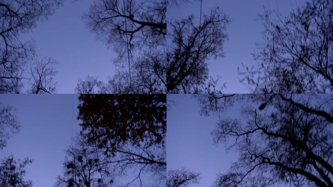 傍晚蓝天背景上快速移动的树木和鸟类的俯拍。