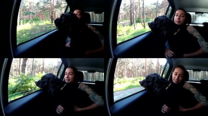 可爱的黑狗从快速行驶的汽车的窗外望去，环顾四周，孩子拥抱并支撑着她。特写。从车里看。4K。