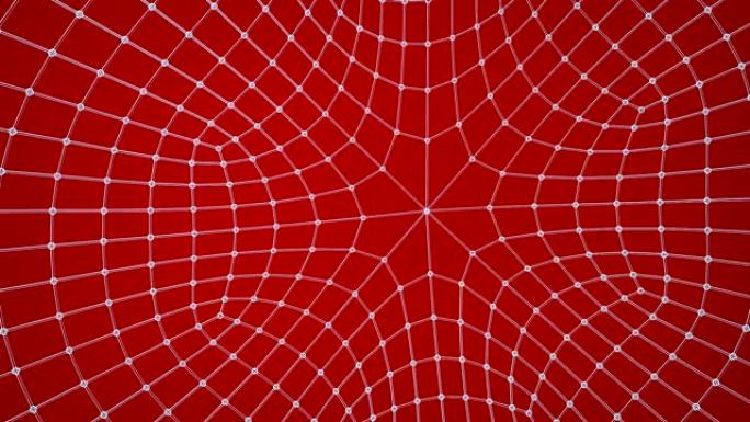 蛛网设计中的红白数字网络