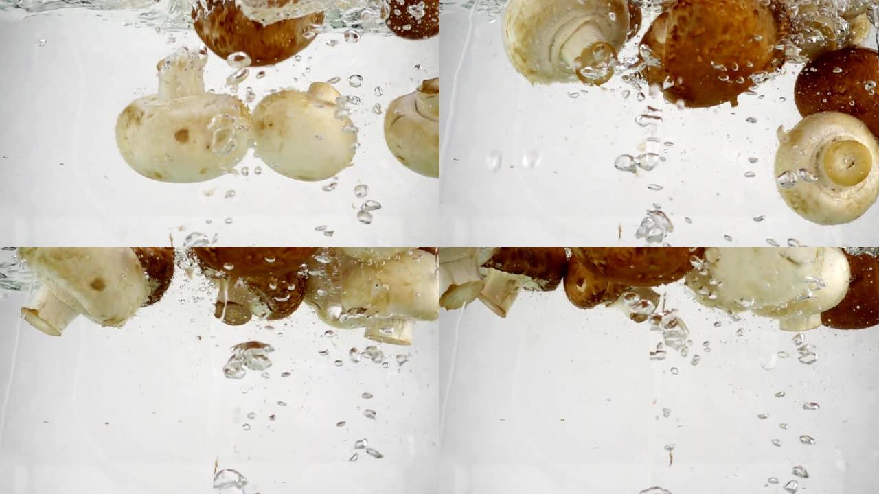 许多蘑菇香菇慢慢沉入沸水中，慢动作特写