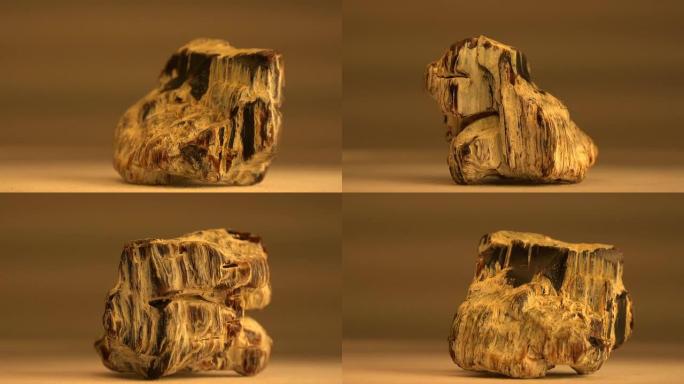 石化木材的特写视图