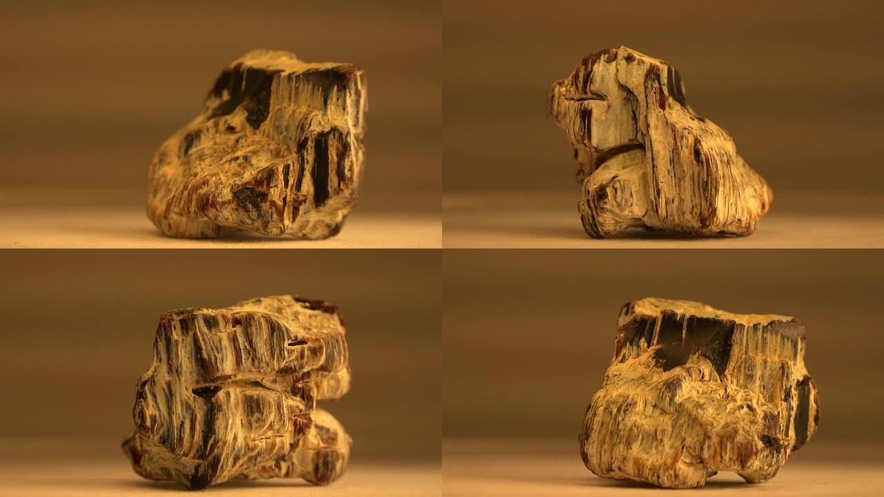 石化木材的特写视图