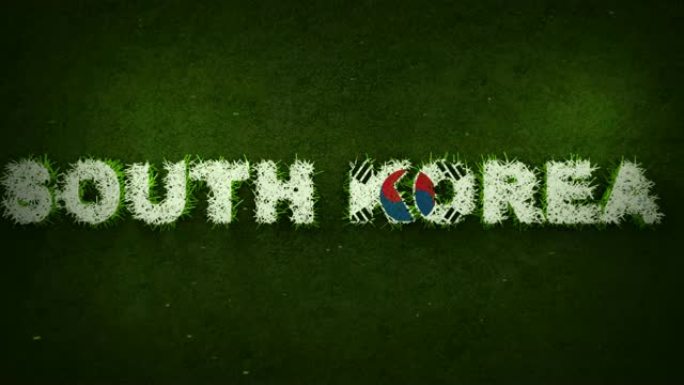 韩国国旗出现在长草上