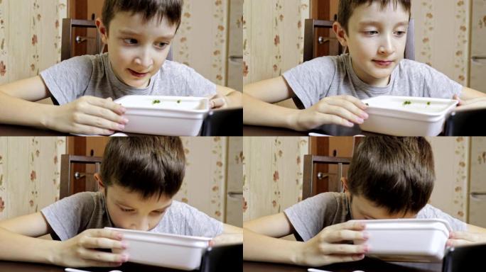 一个青春期的高加索男孩在家里吃中国快餐，一次性容器里的方便面，他的老鼠很脏